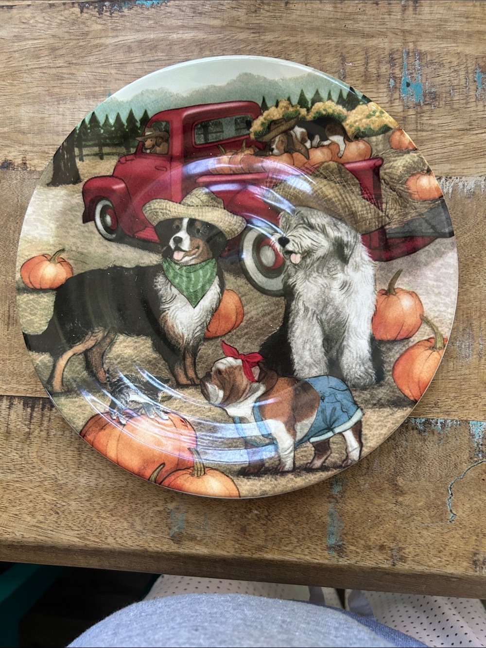 Seasonal Dog & Pumpkin 6 Decorative Plate - Red Truck Design. Great for fall.